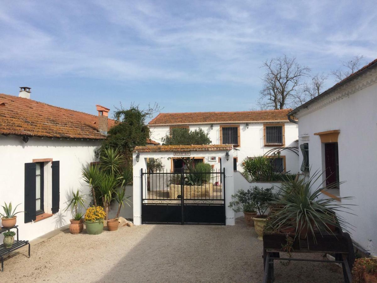 Maison d'hôtes Terre De Boheme *